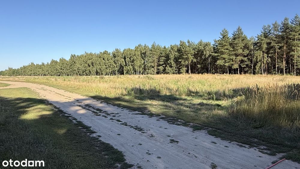Atrakcyjna duża działka pod ząb.jednorodzinną-Pełczyce-Barlinek - Więcej