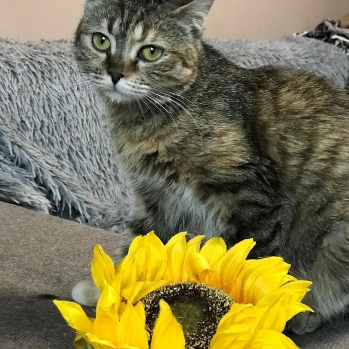 Отдам бесплатно!!