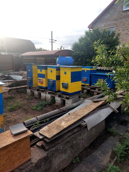 Продаю пассику в с. Визирка