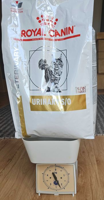 Karma dla kota Royal canin urinary