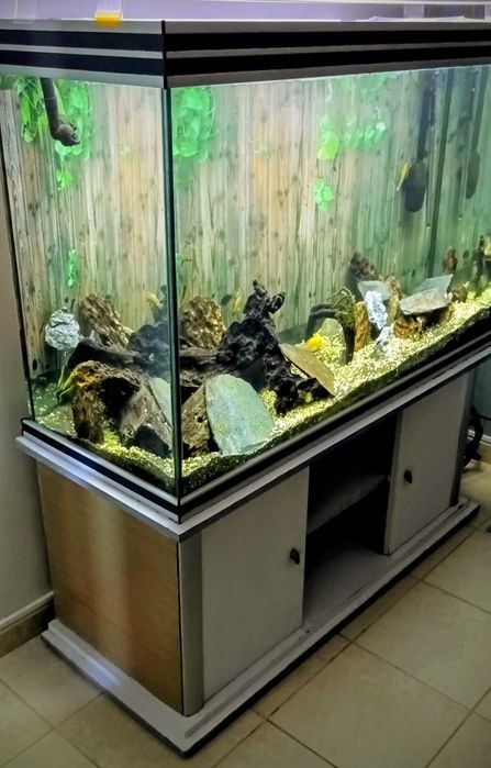 Aquário Aquatlantis 400lt