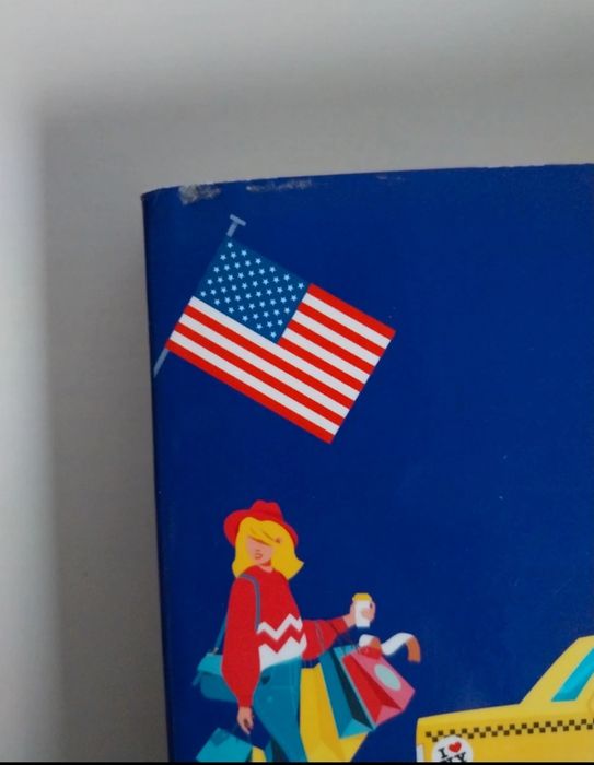 Livro New York Valentine