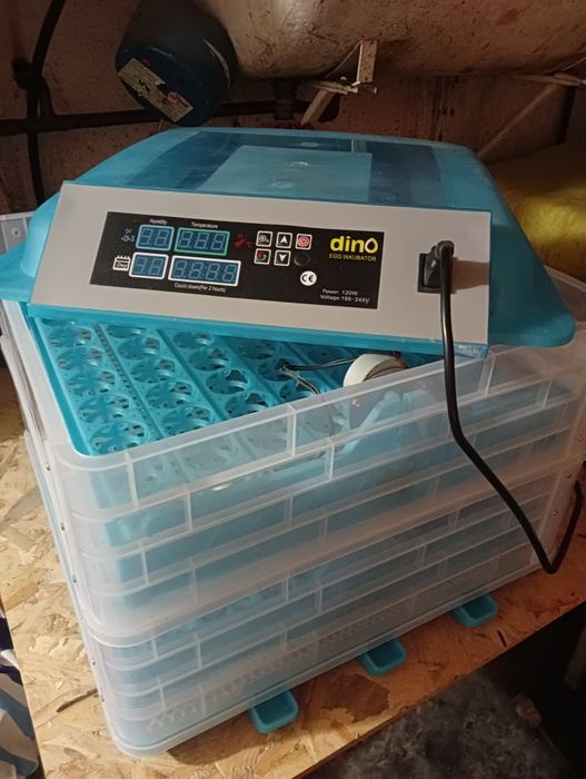 Inkubator automatyczny Dino 112 jaj