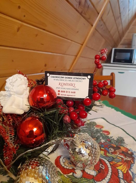 Domek całoroczny do wynajęcia