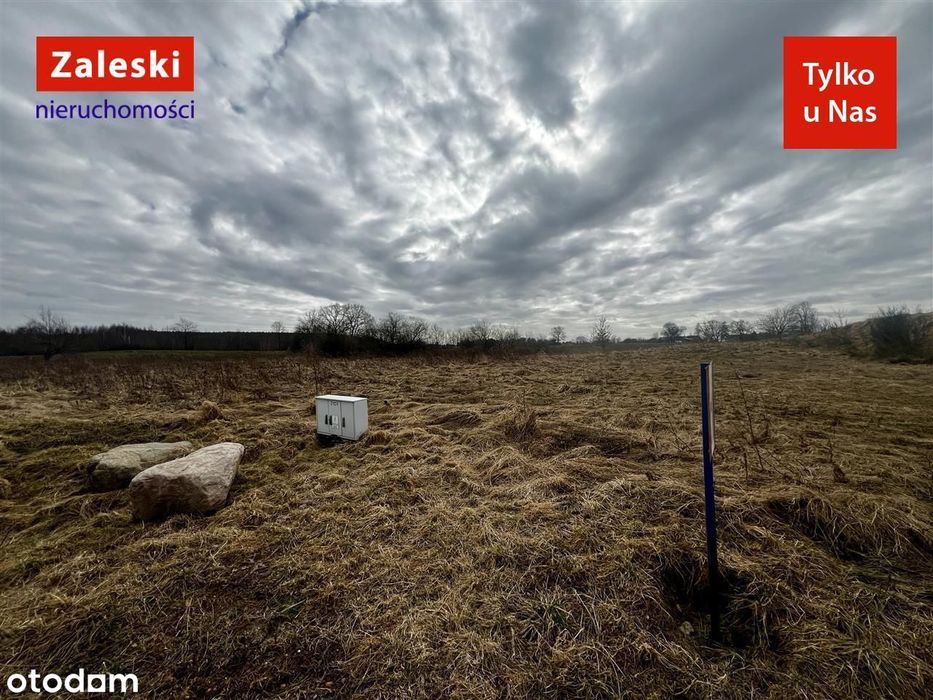 Duża działka pod dom wolnostojący