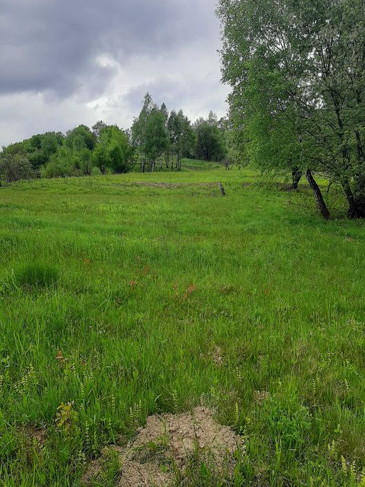 Продам будинок та земельну ділянку