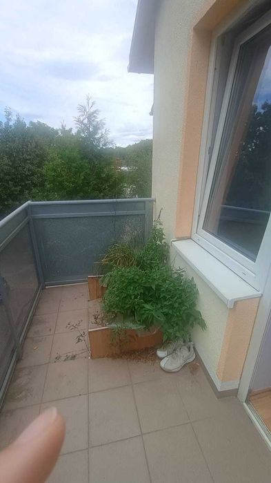 Mieszkanie – Zielona Góra - Więcej