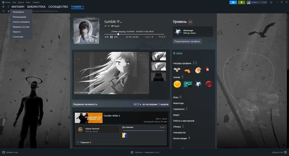 Кс 2 cs 2 prime status прайм статус cs go кс го steam стим: 500 грн ...