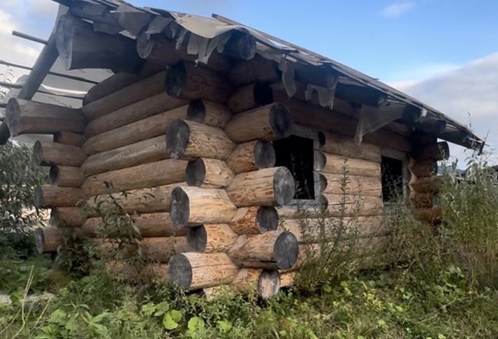 Будинок/банька з зрубу дикого 35-40 см колоди