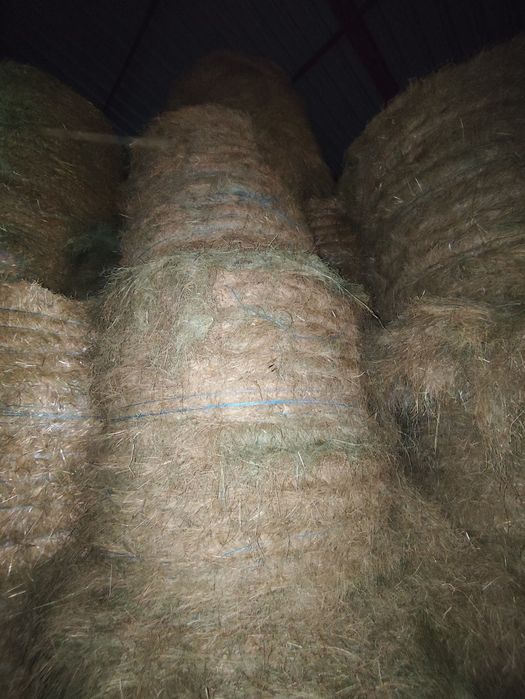Fardos de palha e rolos de feno