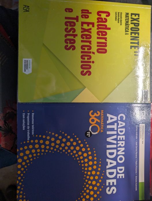 Livros de actividades e resumos - 11º ano