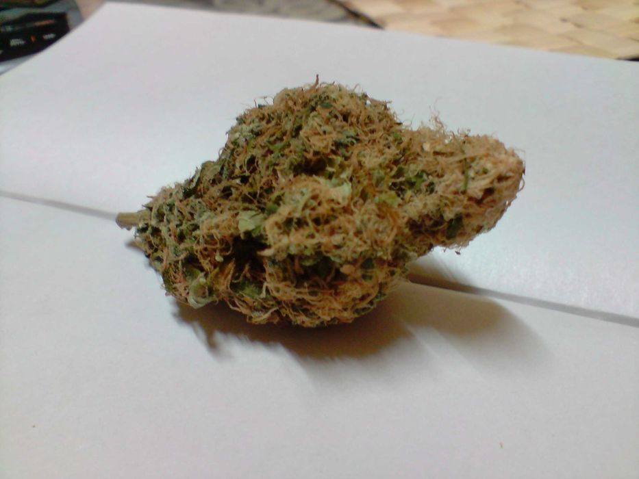 Marihuana CBC Lilac Diesel 1g + Sourdough Kush 1g + Kraken 1g = 3g CBN