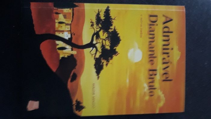 Admirável Diamante Bruto e Outros Contos