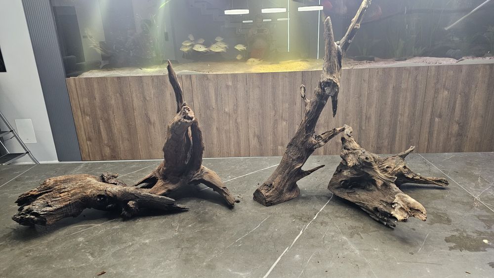 Korzenie do akwarium