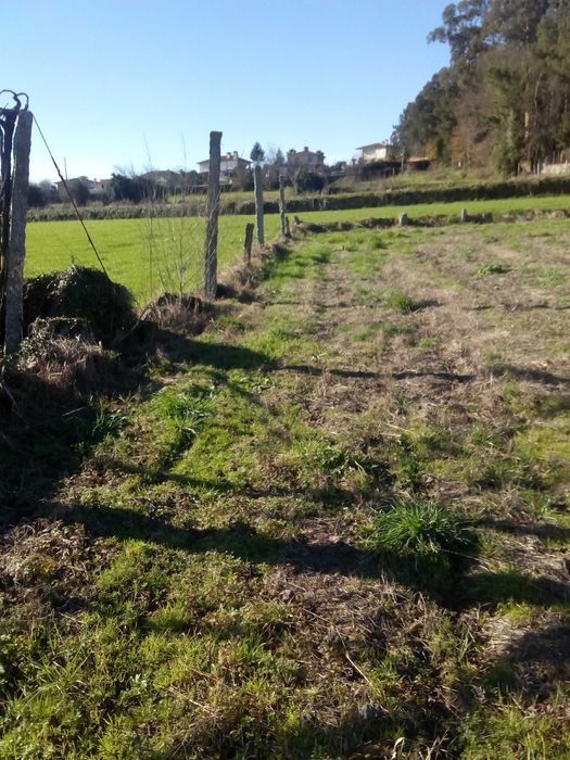 Terreno Agrícola
