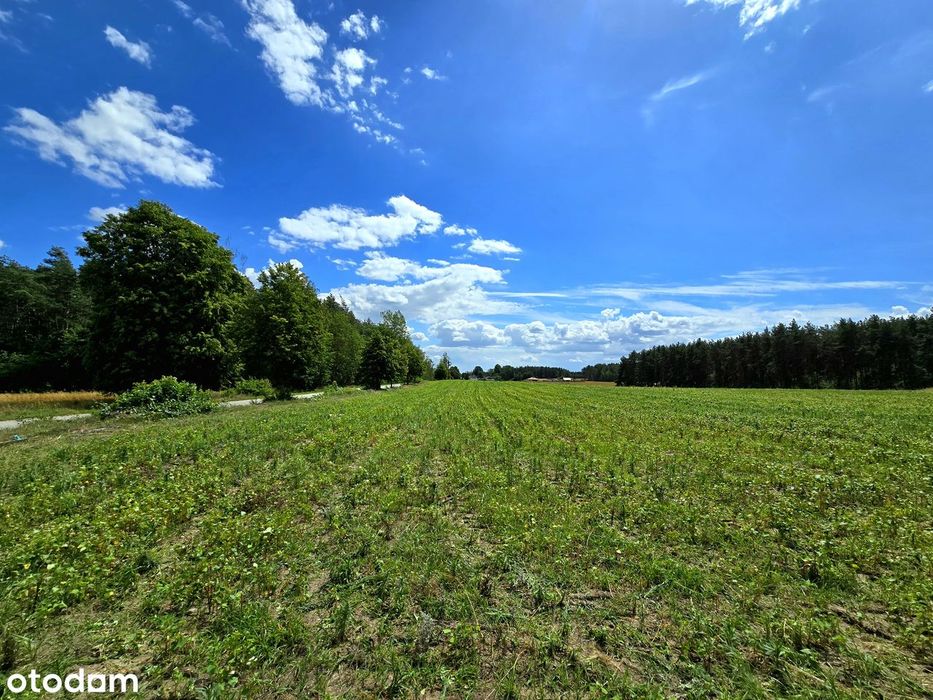 Działki budowlane blisko lasu | 5 km od Rawy Maz. | 1200 lub 1400 m2