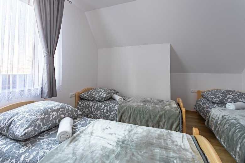 Domki Biały Dunajec z jacuzzi