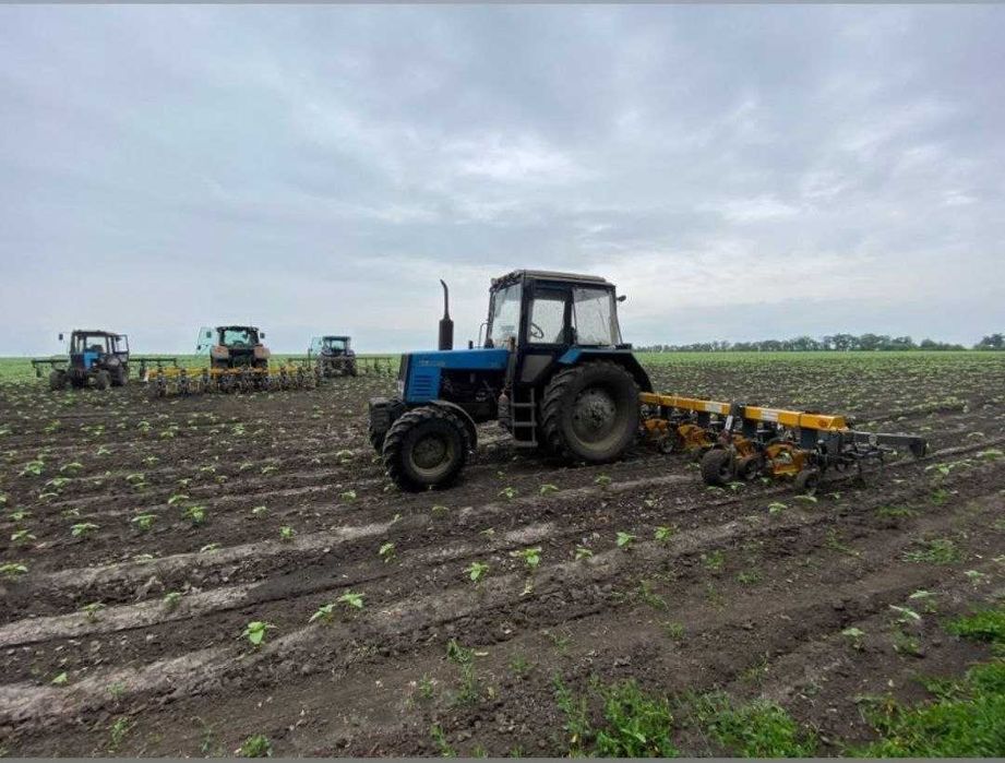 Культиватор міжрядний пропашний КРН-5,6 кпк,кум,кпр,кмр