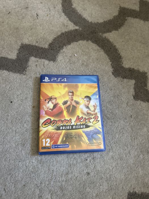 Gra kobra kai na ps4