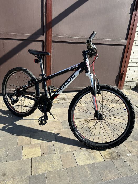 Focus Raven Rookie R24 5 499 Olx