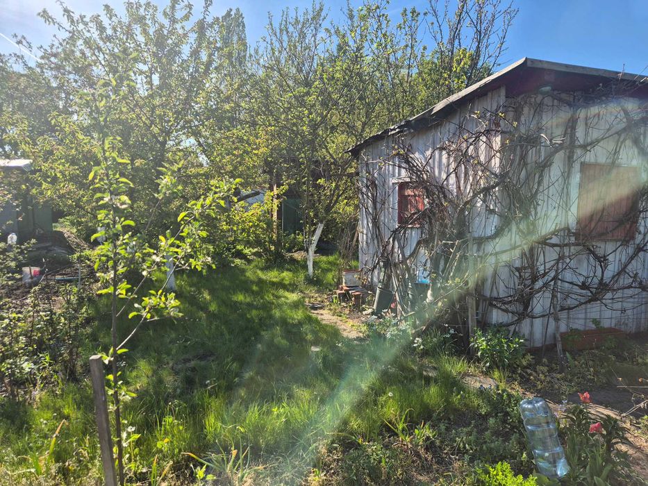 ROD "Pod Topolami" 270 m² - Widok 4