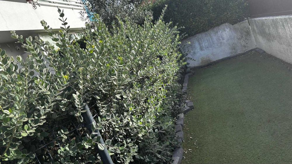 Metrosíderos | Sebes | (Orçamento Gratuito)