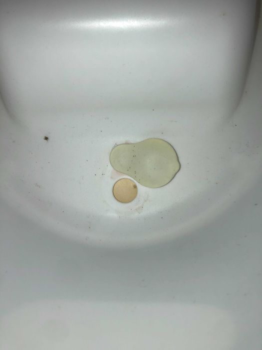 Banheira para bebé SHNUGGLE
