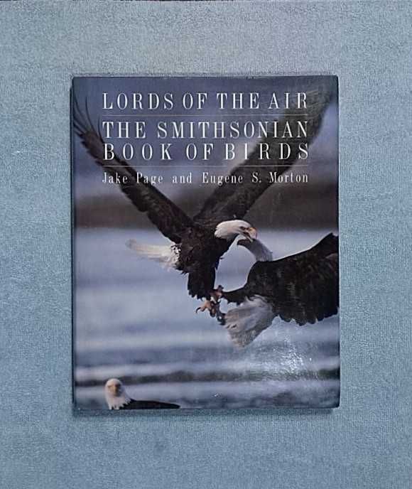 Władcy Powietrza po angielsku