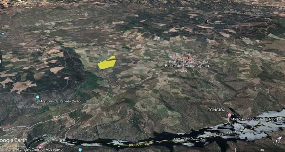 Terreno com 32 hect. com excelente potencial para a produção de vinho.