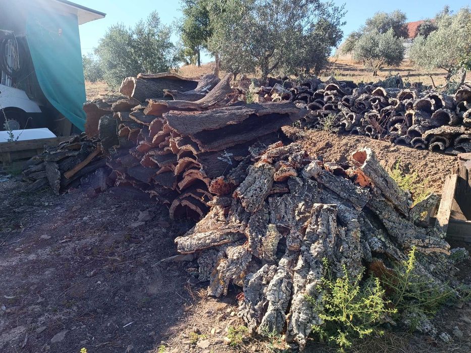 vendo cortiça de 2025