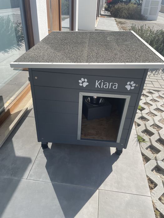 Casota caes e companhia