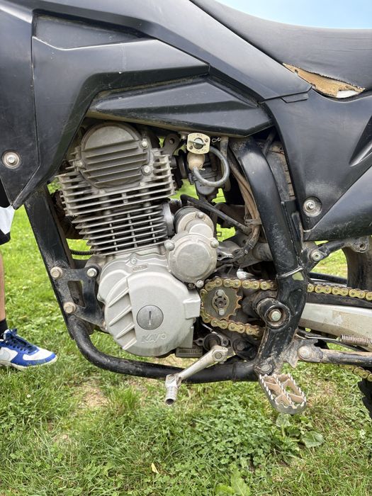 Kayo t4 250 2023