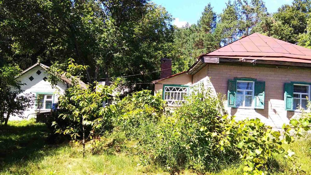 Продається будинок в с. Березняки ЧЕРКАСЬКОГО р-ну, Черкаської області