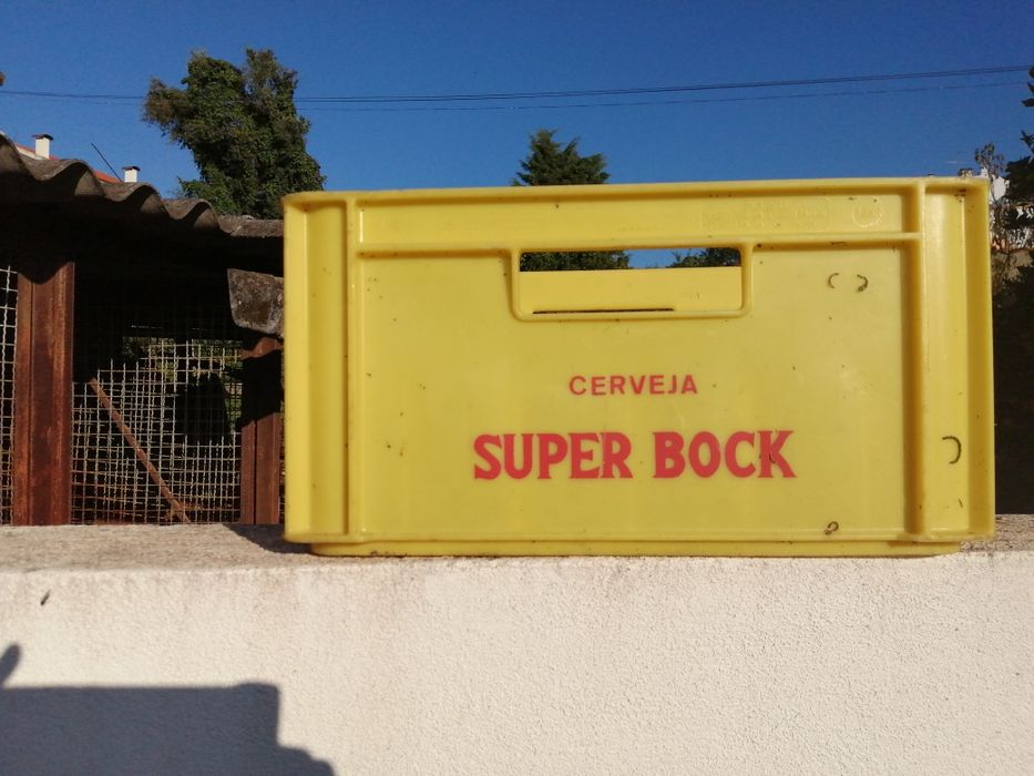 Grades de cerveja conjunto