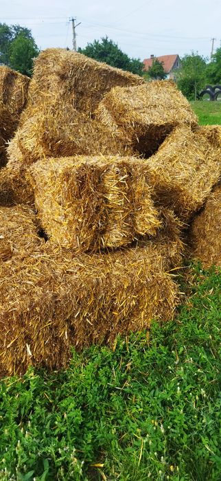 Продам тюки (солома )