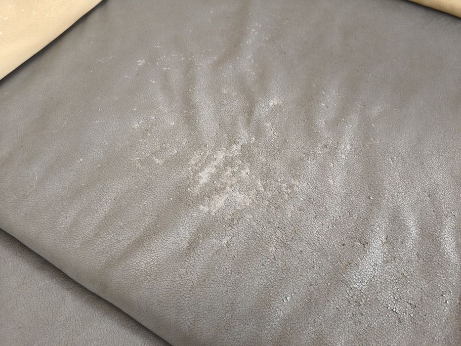 Rogówka rozkładana oddam