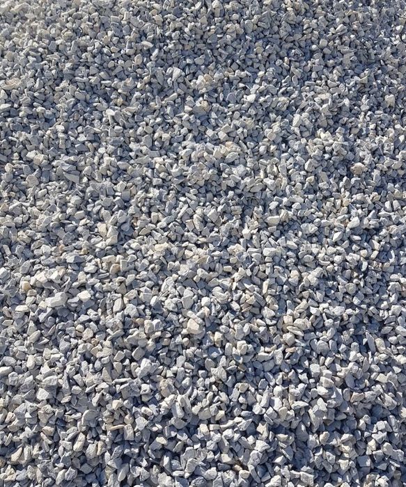 Grys Biała marianna