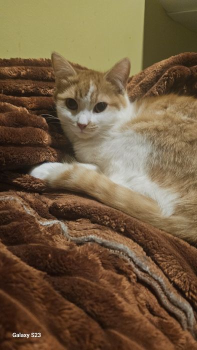 Luke i Borys w poszukiwaniu swojego Człowieka.