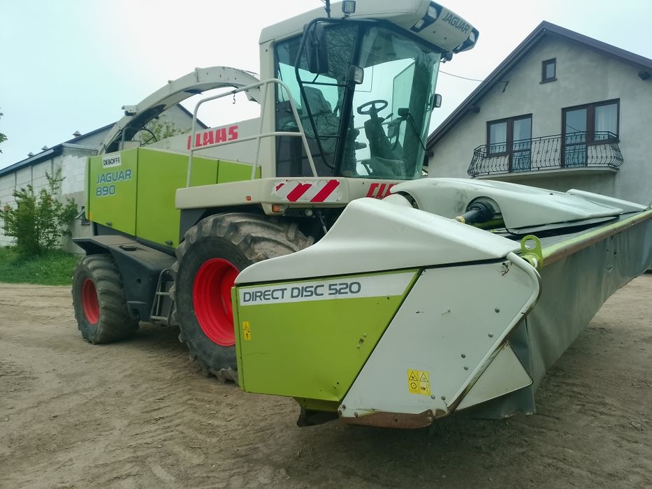Zbiór kukurydza  trawy sieczkarnia Claas jaguar 890 900