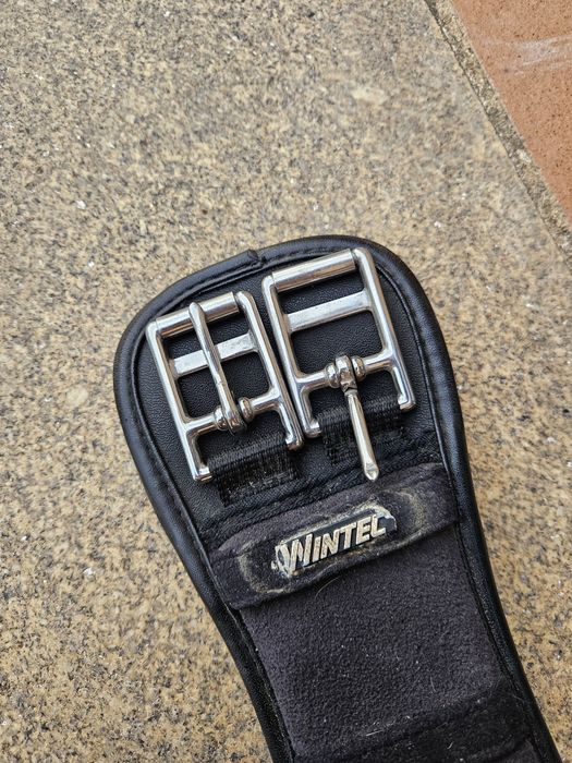 Material de equitação: Cilha wintec 75cm