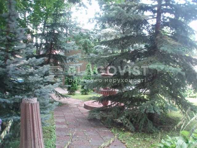 Продаж будинку Великі Дмитровичі, Обухівський район, 1га, без %