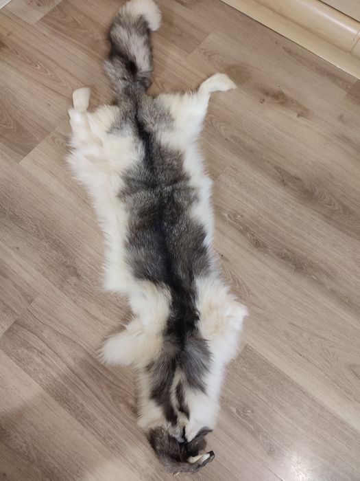 Шкурка песца натуральная