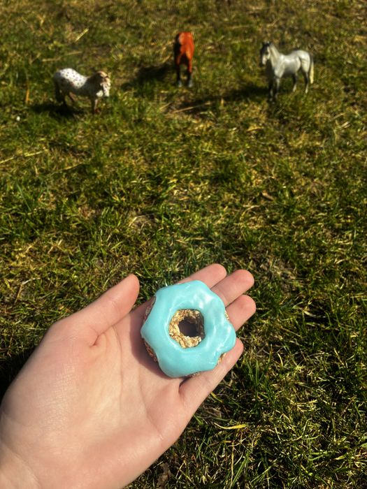Horse donuts, przysmaki, ciastka z lukrem dla koni