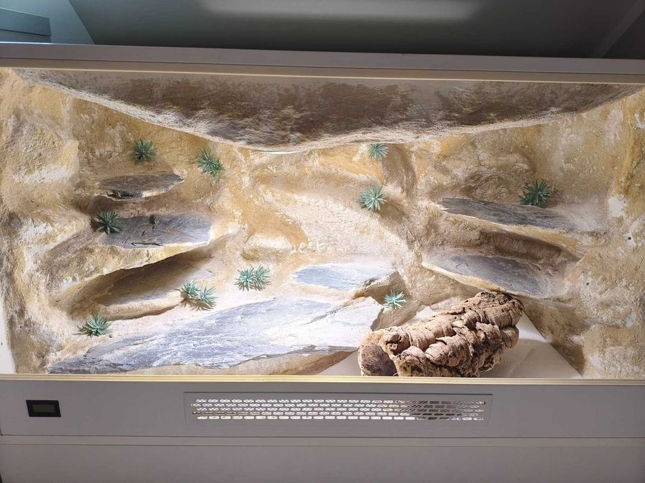 Terrarium naturalne dla agamy, gekona z pełnym wyposażeniem