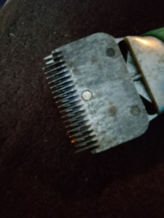 Maszynka do strzyżenia owiec koni itd