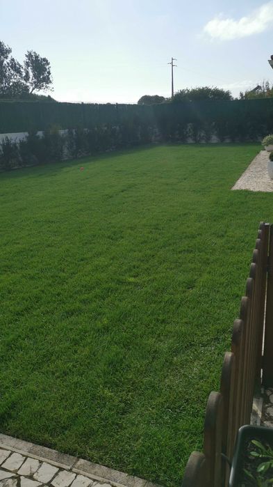 Jardineiro Sintra/Mafra/Ericeira