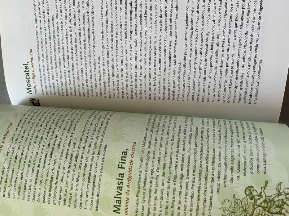 Guia dos melhores vinhos de Portugal