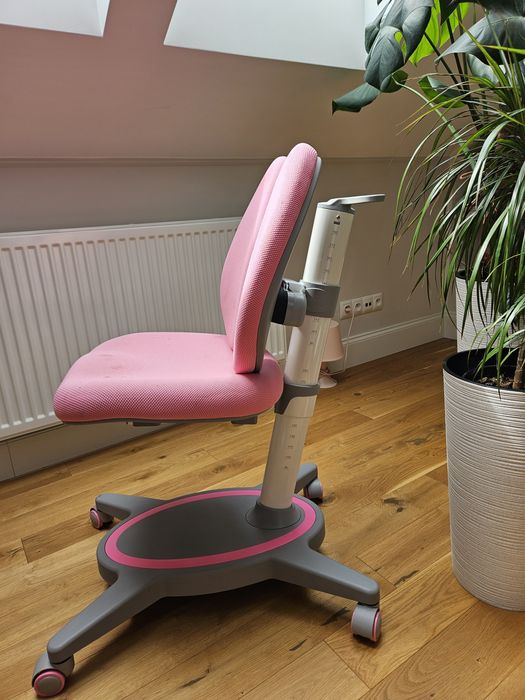 Krzesło ergonomiczne dla dziecka Fun Desk Bello II Pink