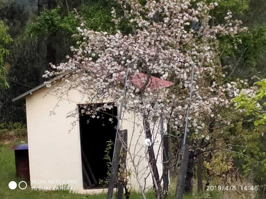 Quinta em Grijó - Castro Daire - Negociável