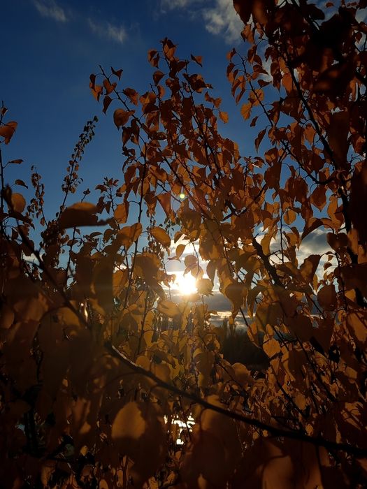 Сниму в аренду жилье,дом,полдома,дачу